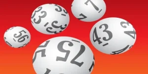 cách nuôi lô khung 5 ngày