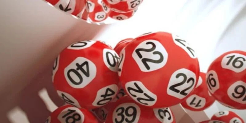 Phương pháp nuôi lô kép khung 5 ngày